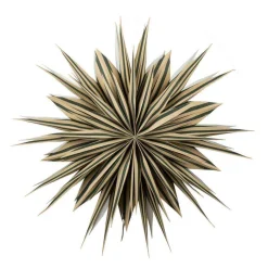 New Adventsstjerne Stripe Julestjerner