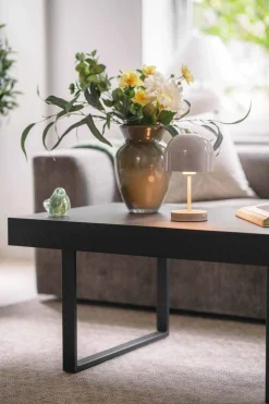 Bordlampe Napoli oppladbar 24 cm beige Lamper