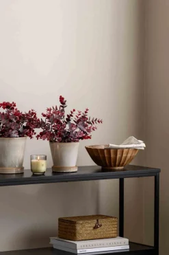 Eucalyptus, burgunder Grønne Planter