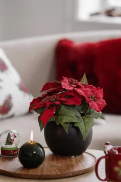 Outlet Festlys lakk kule mørk grønn Kubbelys|Julelys Og Lysestaker