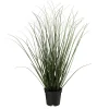 Hot Gress i potte 48cm Grønne Planter