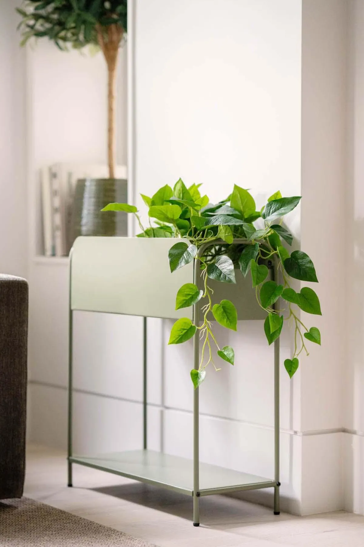 Hengende Gullranke Grønne Planter