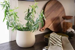 Kjøkkenhåndkle 2pk Savio 50x70cm Annen Tekstil