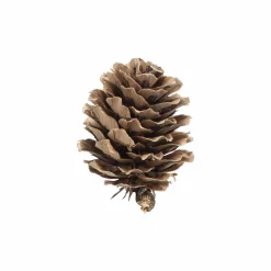 Discount Kongler små i pose Pynt|Juletrær Og Julegrønt