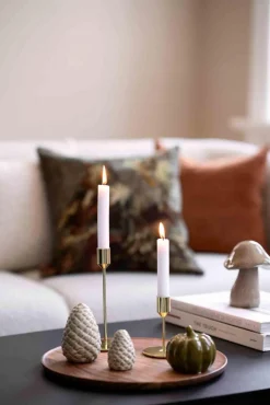 Outlet Lysfat Alocasia 34cm Lysfat