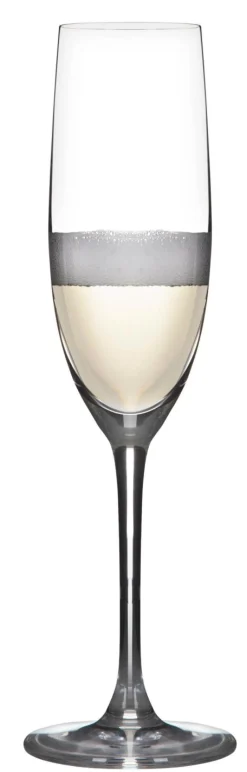Hot Modern House - Sontell Champagneglass 18 cl 6 stk Glass
