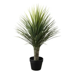 Clearance Palme i potte 85 cm Grønne Planter