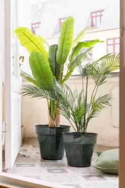Plante Banantre 135cm Grønne Planter