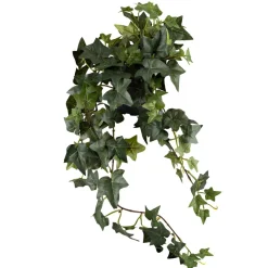 Outlet Plante Eføy Grønne Planter