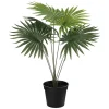 Hot Plante Livistona 42cm Grønne Planter