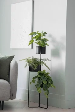 Outlet Plante Monstera Grønne Planter