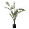 Sale Plante Palme stor Grønne Planter