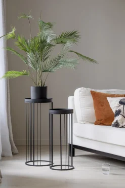 Sale Plante Palme stor Grønne Planter