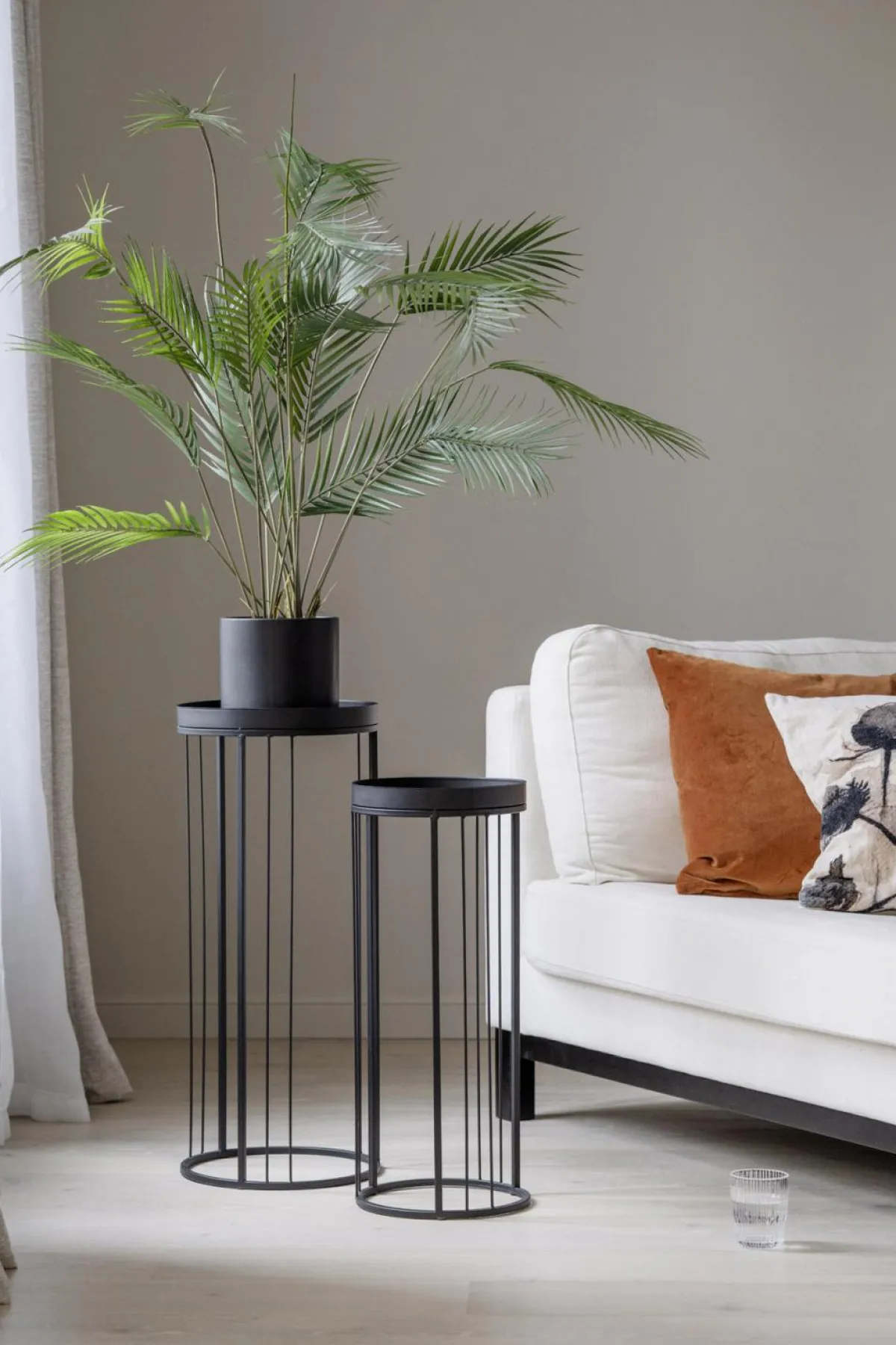 Sale Plante Palme stor Grønne Planter