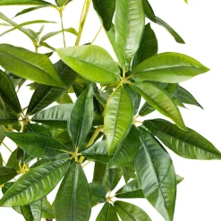 Plante Tre 115 cm Grønne Planter