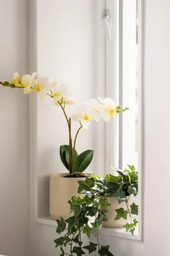 Hot Potte Avetia 17 cm, krem Blomsterpotter Og Pidestaller