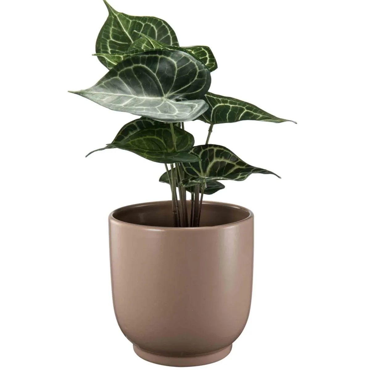 Clearance Potte Sandra 18,6cm Blomsterpotter Og Pidestaller