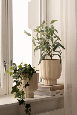 Potte Suri 22 cm Blomsterpotter Og Pidestaller