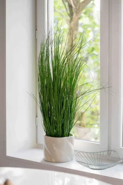 Potte tvist 15 cm Blomsterpotter Og Pidestaller