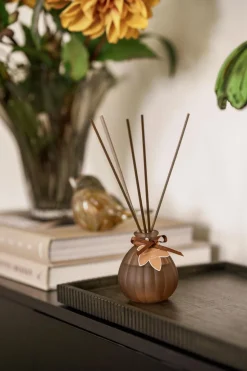 New Romduft Pumpkin Whiskey & Oak Duftpinner