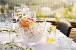 Best Vinkjøler Jane til 2 flasker Servering